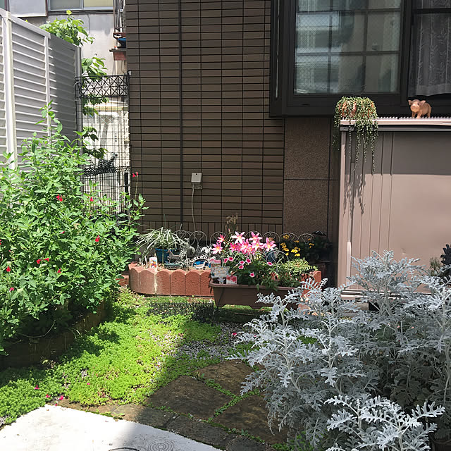 puriyuzuさんの実例写真