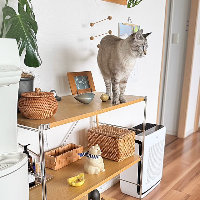 amさんの実例写真