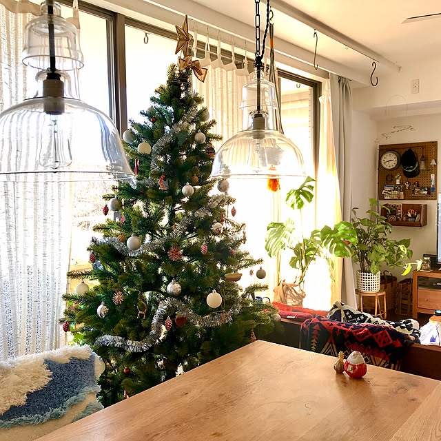 リビング/クリスマス/グリーンのある暮らしのインテリア実例 - 2023-12-24 17:07:51
