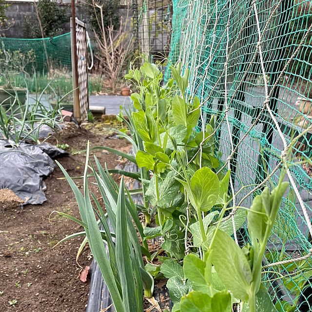 natsumiさんの部屋