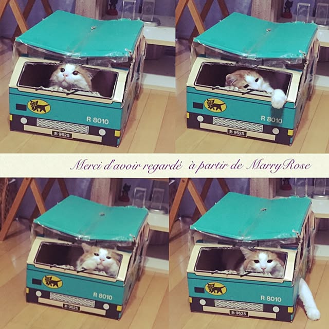 maria.rさんの実例写真