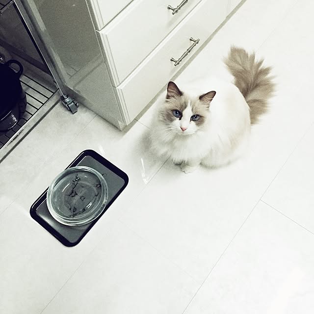 yuchiさんの実例写真
