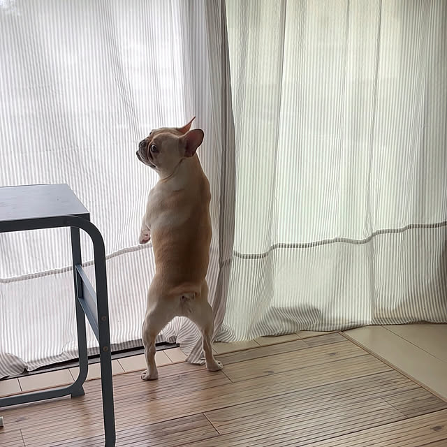 haruharu3さんの部屋