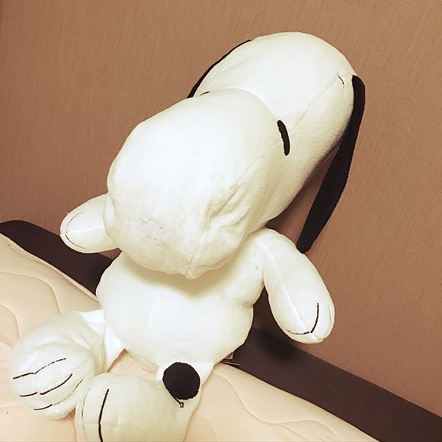 akaneさんの実例写真