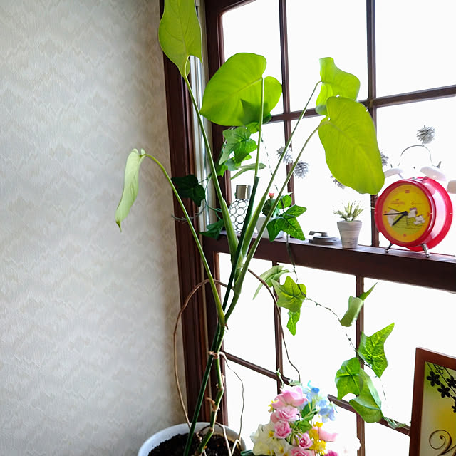 Tさんの実例写真