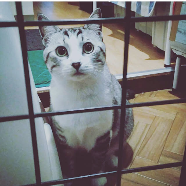 mntcさんの実例写真