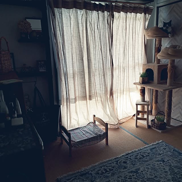 shinoさんの部屋
