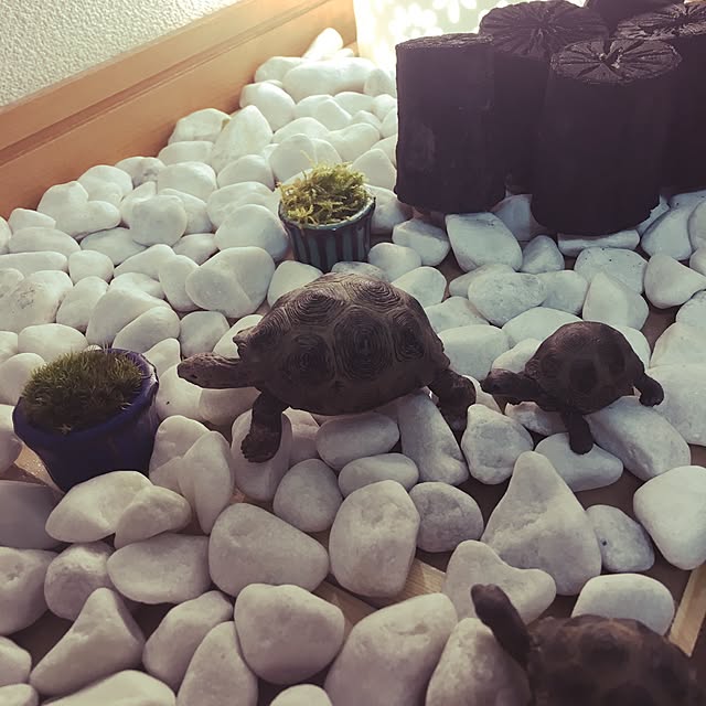 sadaさんの実例写真