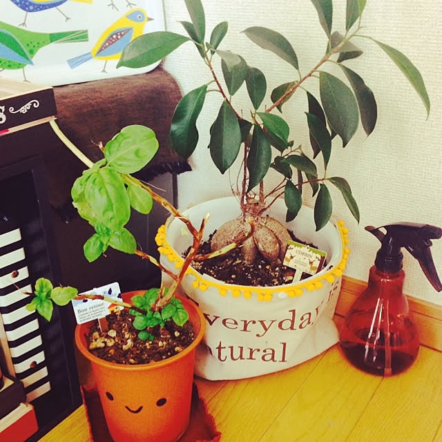 kanimaiさんの実例写真