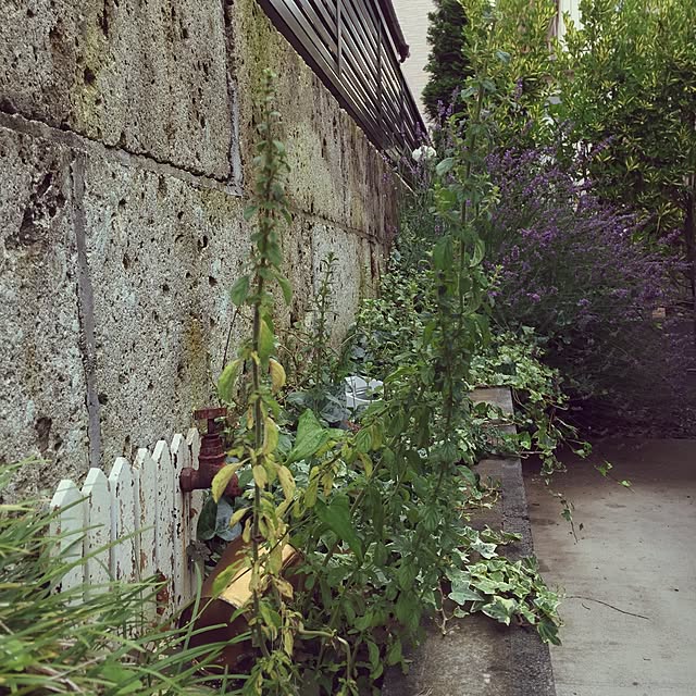 nachimamaさんの実例写真