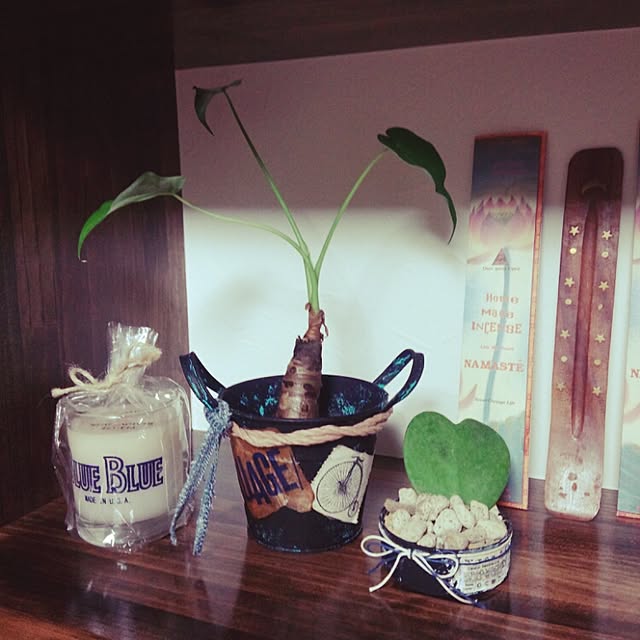 andante365さんの実例写真