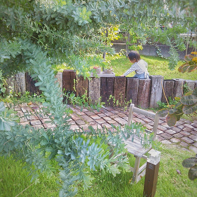 petitesplumesさんの実例写真