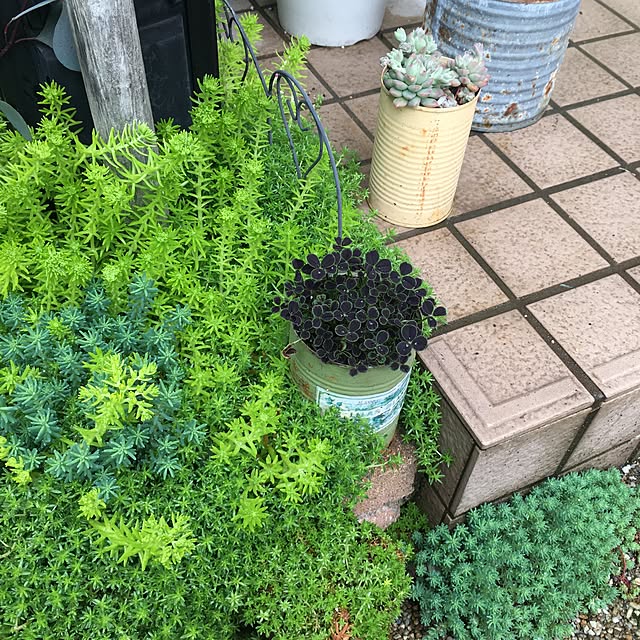 yukkaさんの実例写真
