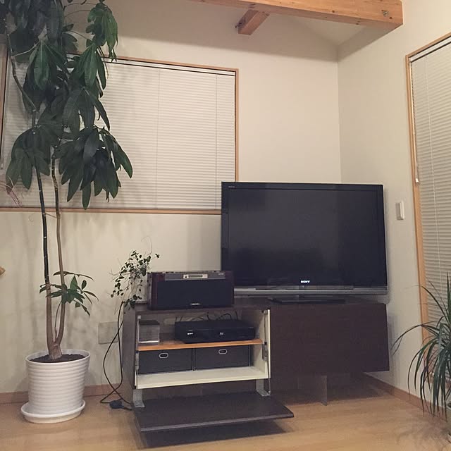 riiriiさんの実例写真