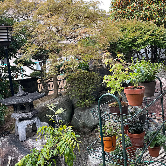 shin0719さんの実例写真