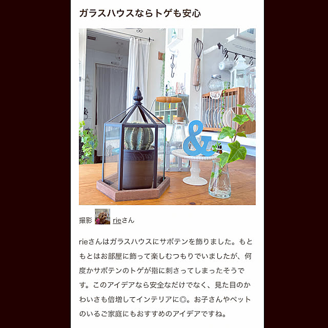 rieさんの実例写真