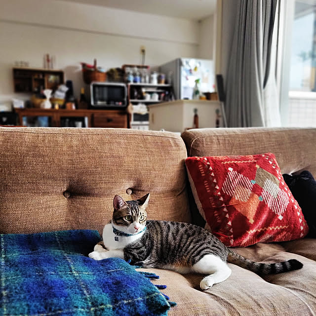 karinさんの実例写真