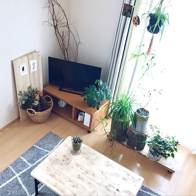 saさんの実例写真
