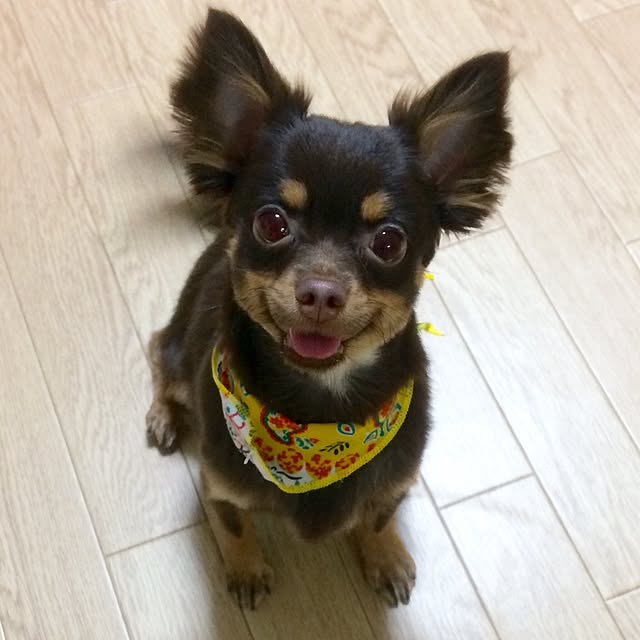 miyuさんの実例写真