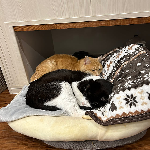 mikeume7さんの部屋