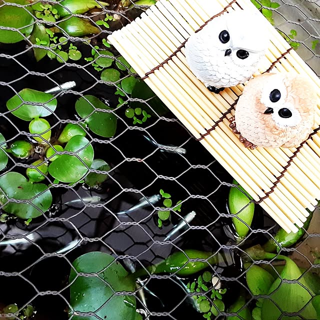 katさんの実例写真