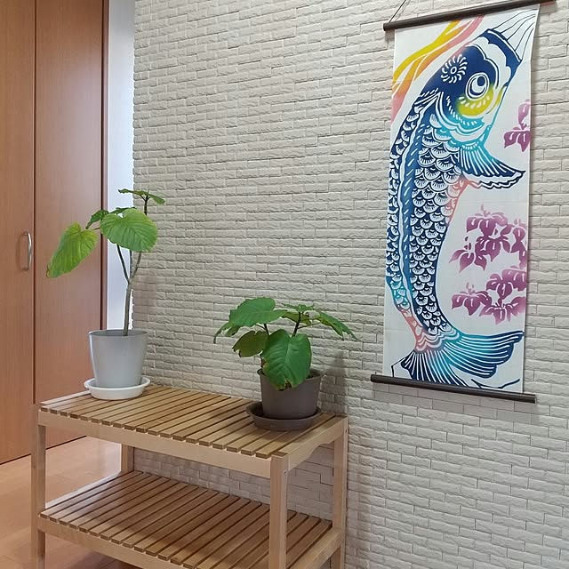 iku-yoneさんの実例写真