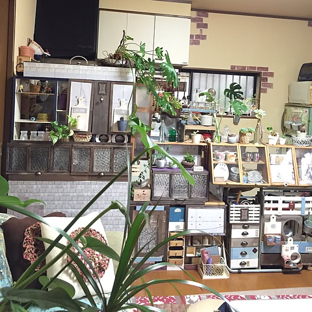 Norikoさんの実例写真