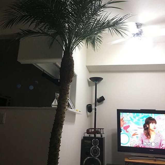 Takaさんの実例写真