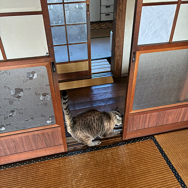 gecfrqxjjotjmdrtbgさんの実例写真