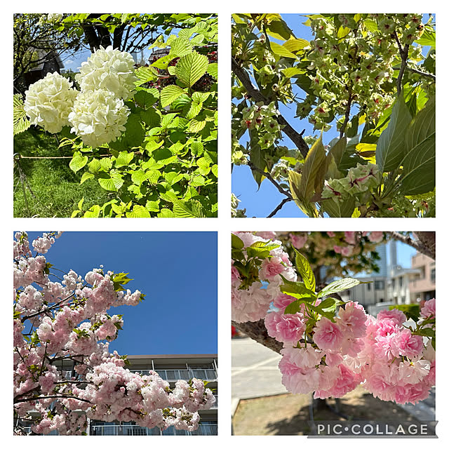 mizucchiさんの部屋
