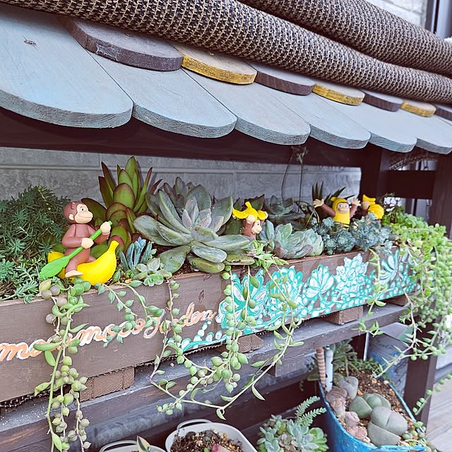 mocomocoさんの部屋