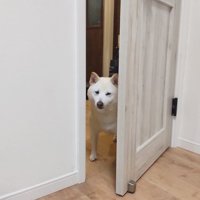 yukinkoさんの部屋