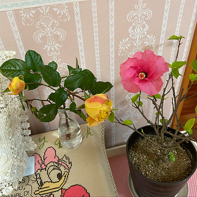 kakoさんの実例写真
