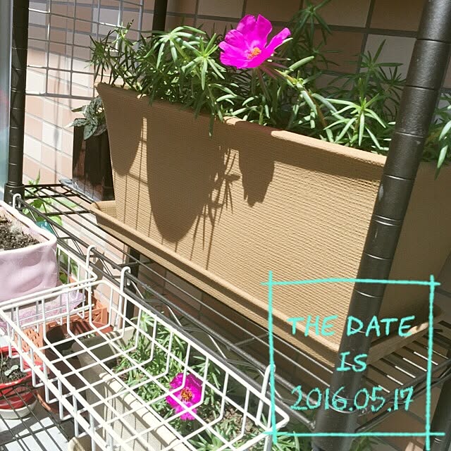 chome_tarouさんの実例写真