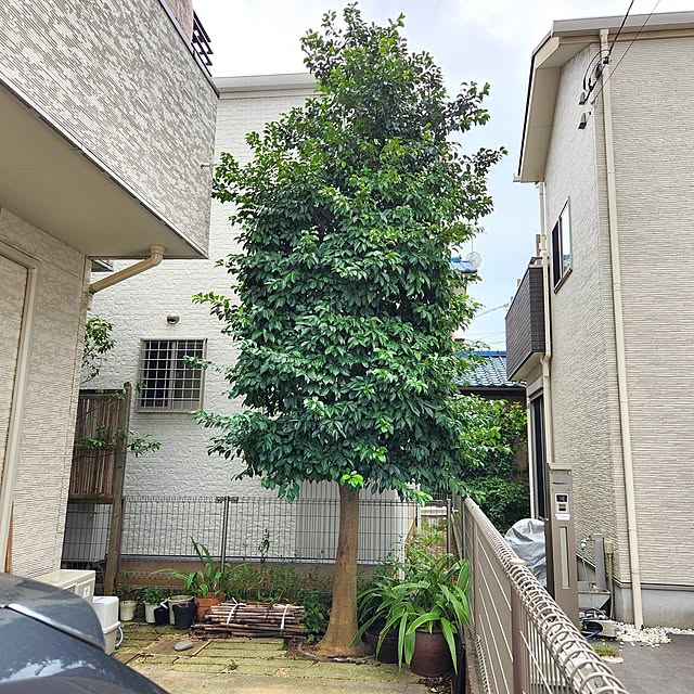 yasu10さんの部屋