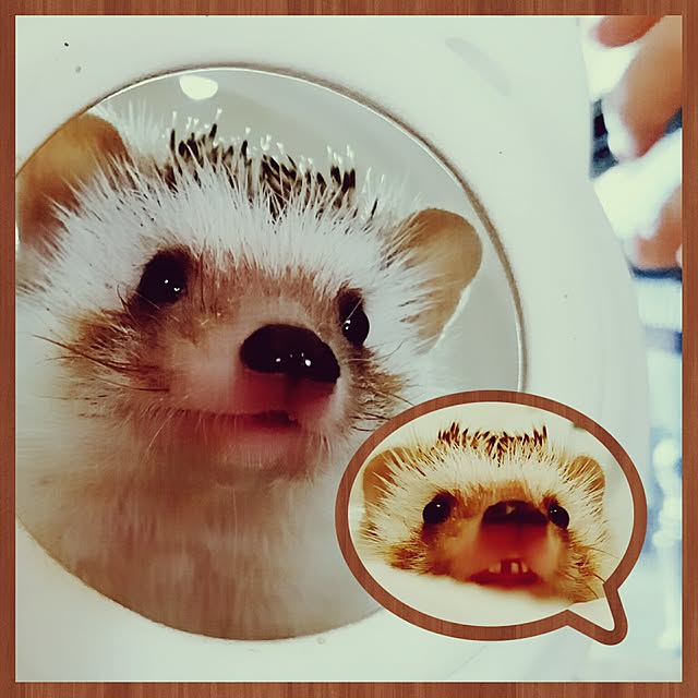 kuruさんの実例写真
