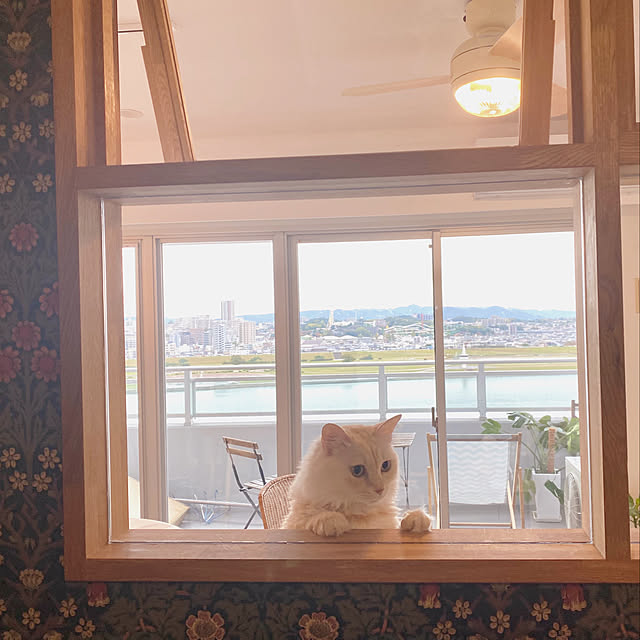 nekotofutariさんの実例写真
