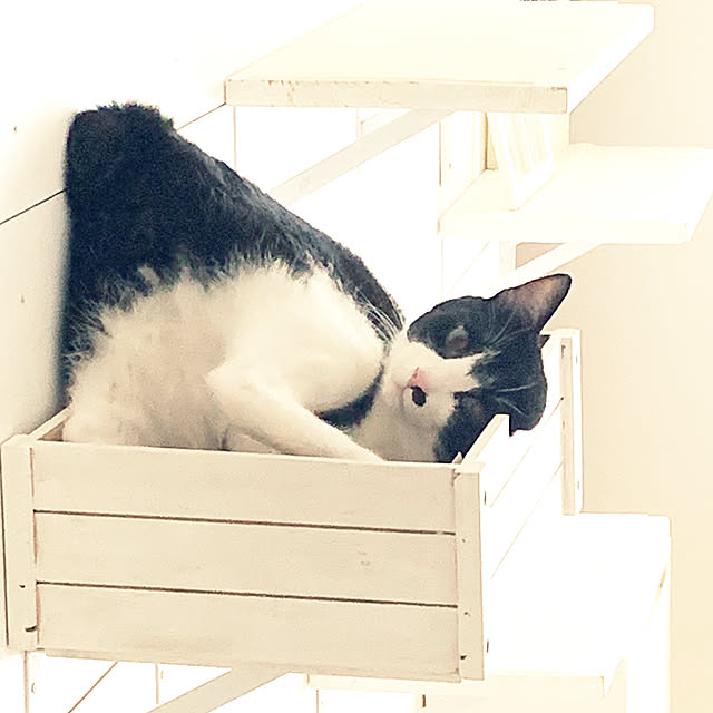 kanaさんの実例写真