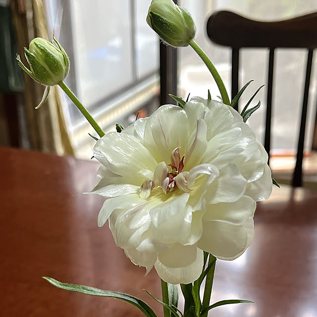 eshinobumさんの部屋