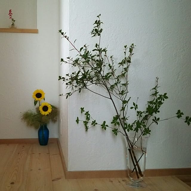 asdaisyさんの実例写真