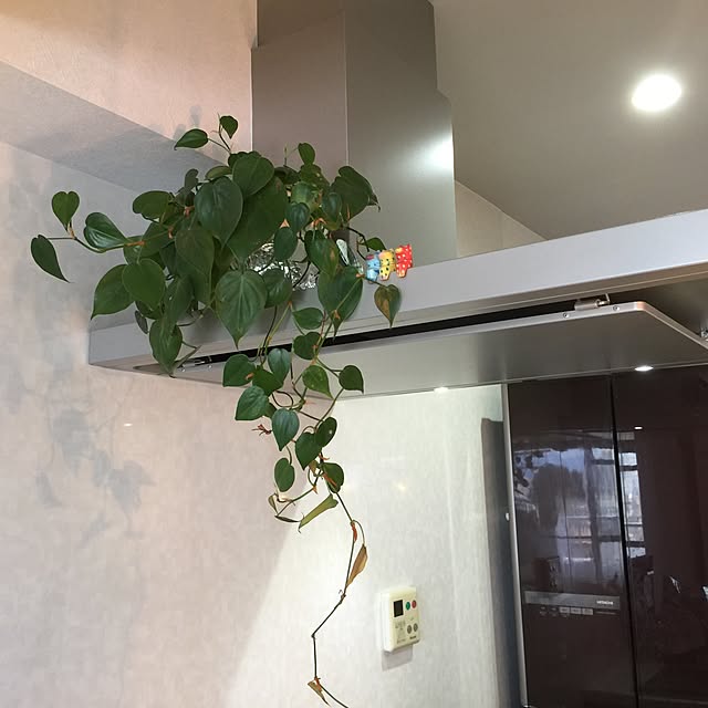 nadesikoさんの実例写真