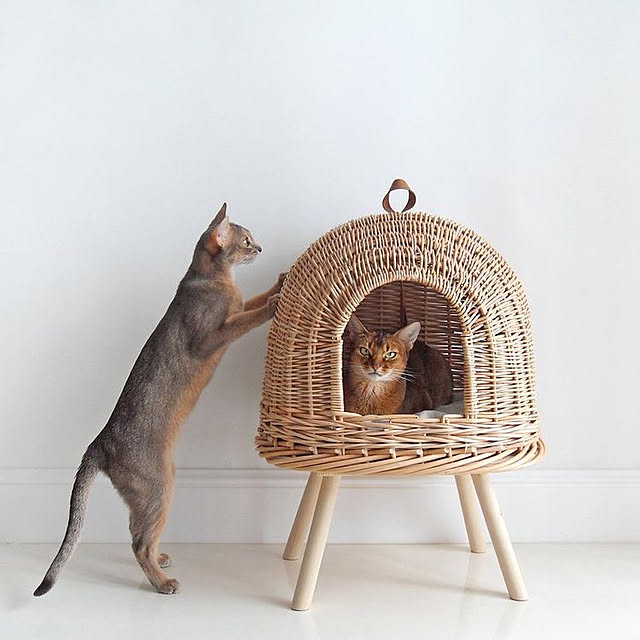 部屋全体のインテリア実例 - 2019-12-04 02:09:06