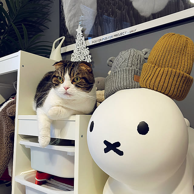 tansukeさんの部屋