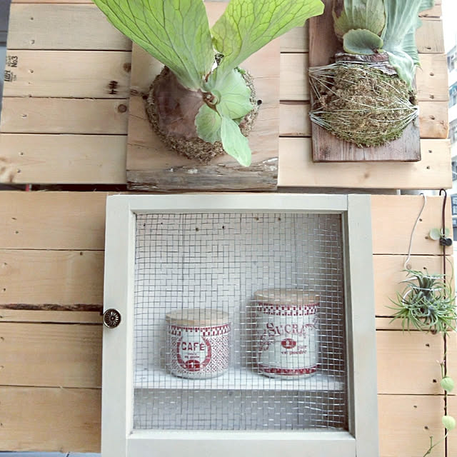 壁/天井/雑貨/DIY/観葉植物のインテリア実例 - 2020-05-14 22:16:53