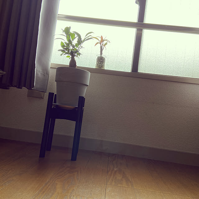 Sachieさんの実例写真