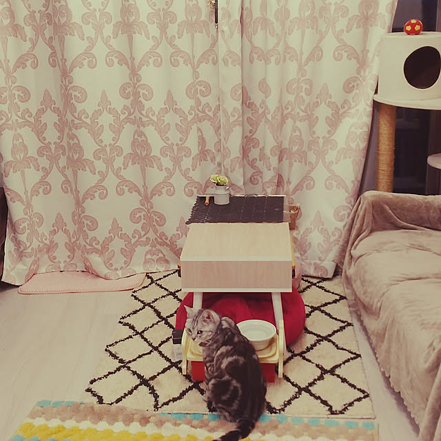 filament0109さんの実例写真