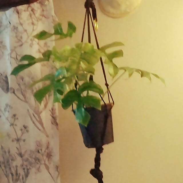 runaさんの部屋