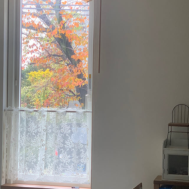 masakoさんの実例写真