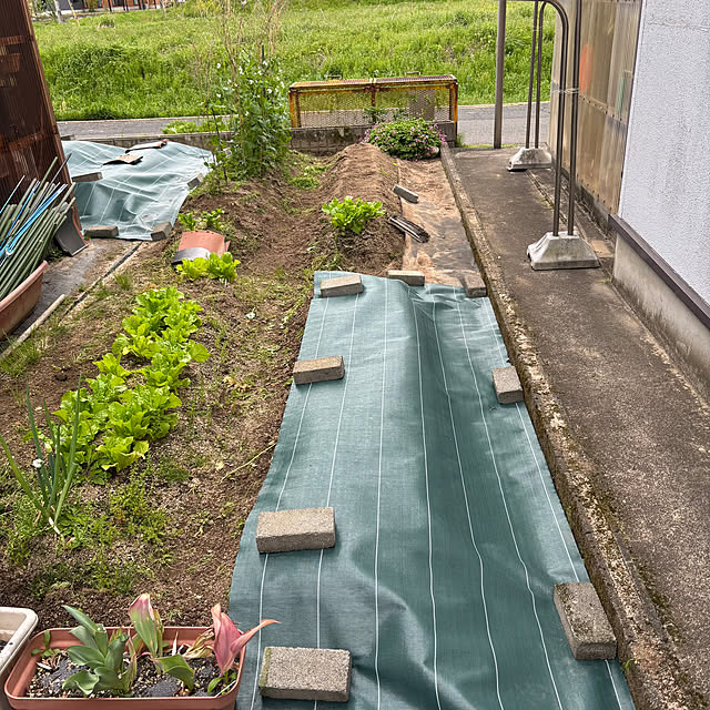 cyaroさんの部屋