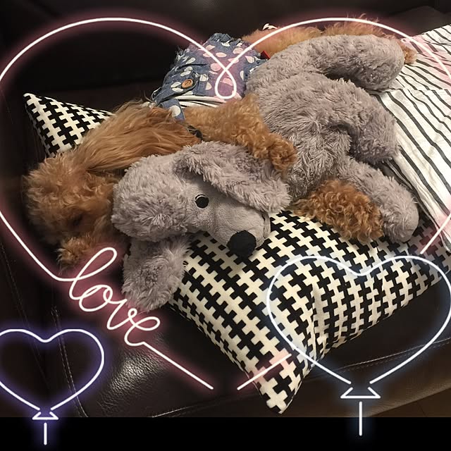 Saraさんの実例写真